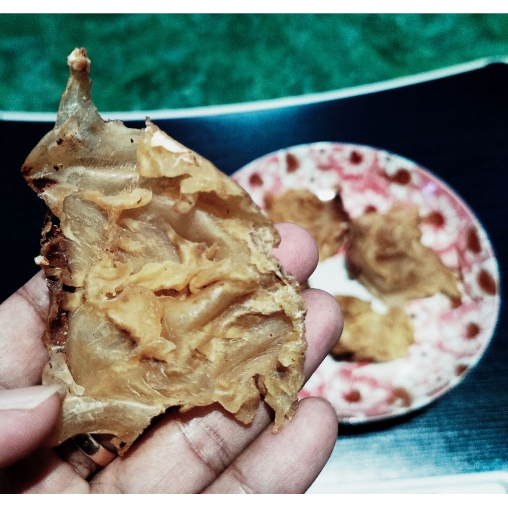 

Fish maw Manyung (gelembung ikan Manyung)