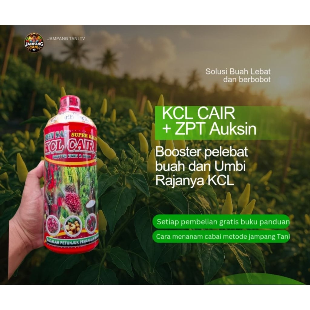KCL CAIR BEEN SAE PUPUK CAIR SUPER KALIUM PELEBAT BUAH 1 LITER
