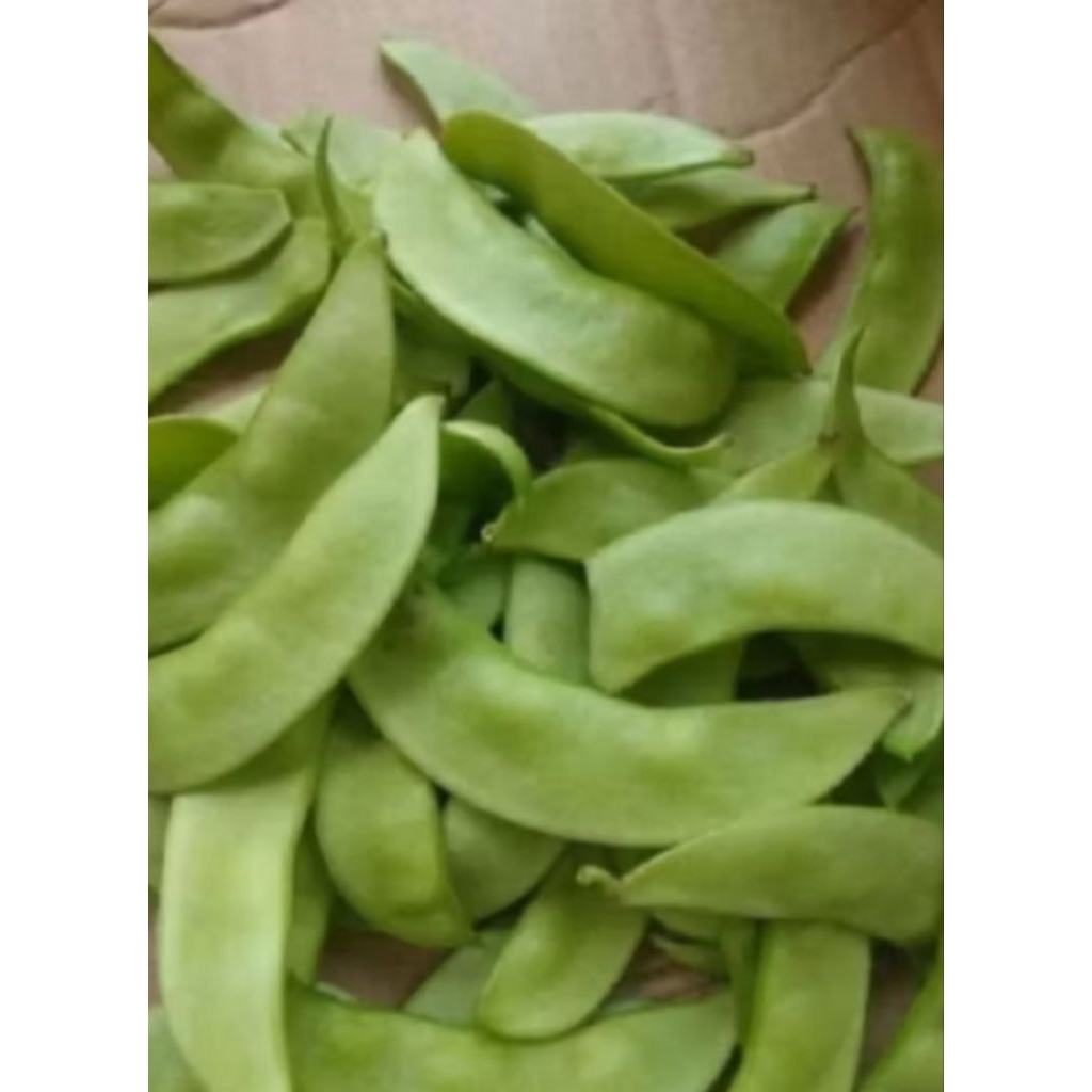 

sayur roay/kacang koro/kacang keratok 100 gram