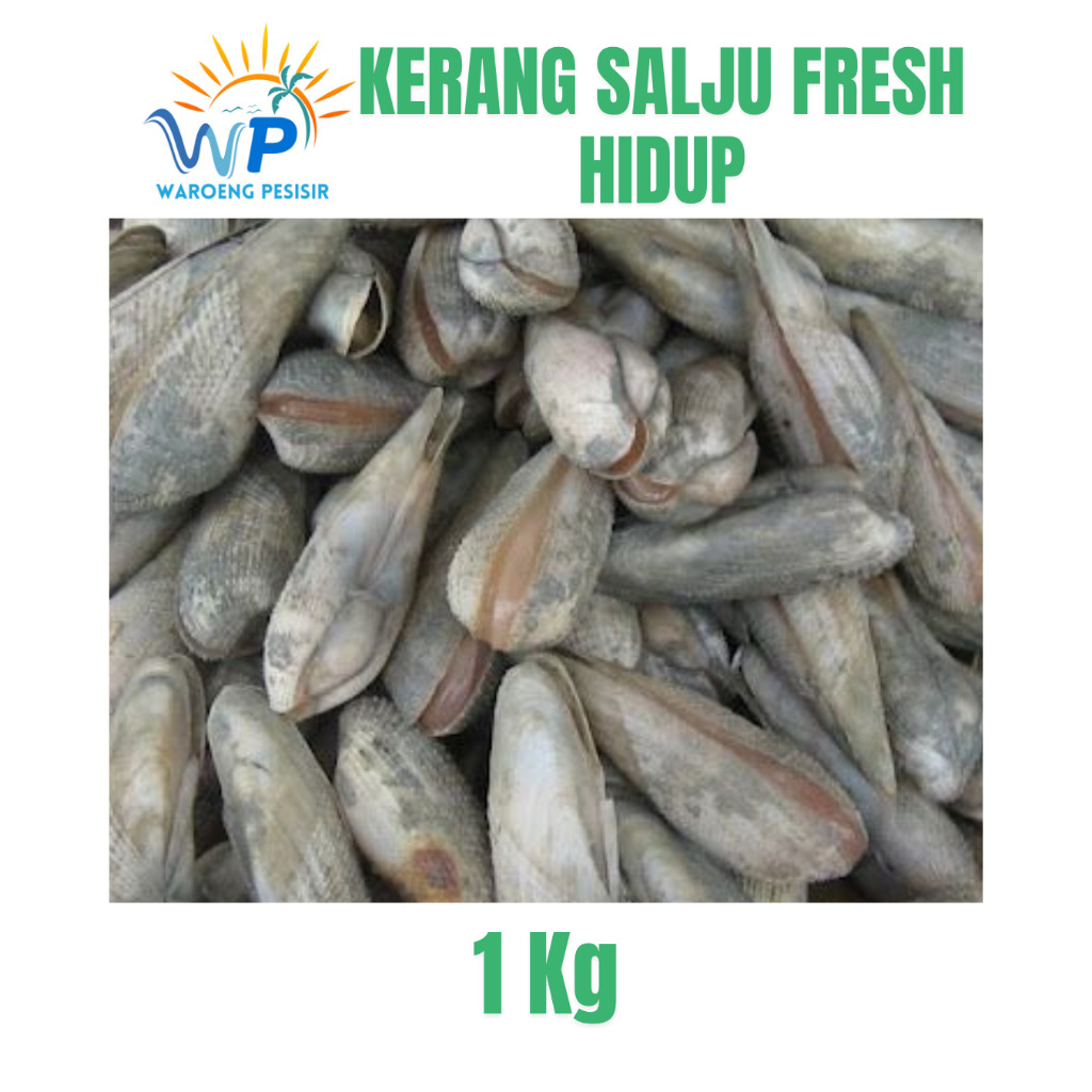 

KERANG SALJU HIDUP FRESH – DIJUAL PER KILOGRAM