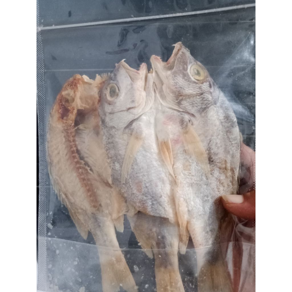 

Ikan Asin Kerapu kecil 1kg
