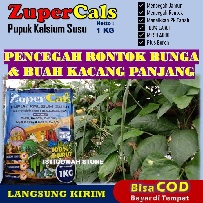 ZUPERCALS 1 KG Pupuk Kalsium Susu Obat Pencegah Rontok Bunga dan Buah Kacang Panjang, Obat Semprot A