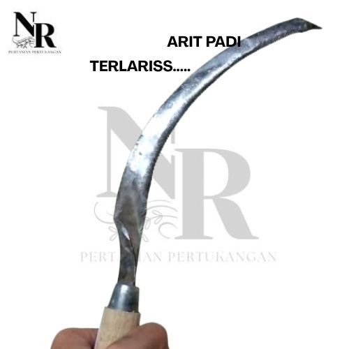 PANEN PADI ALAT PANEN PADI ALAT POTONG PADI SABIT PADI