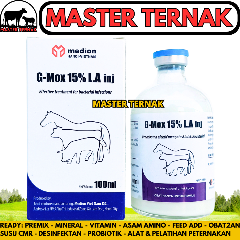 G-MOX LA 100ML MEDION - Obat Hewan Antibiotik Long Acting Spektrum Luas Ternak Sapi Babi Like AMOXI 