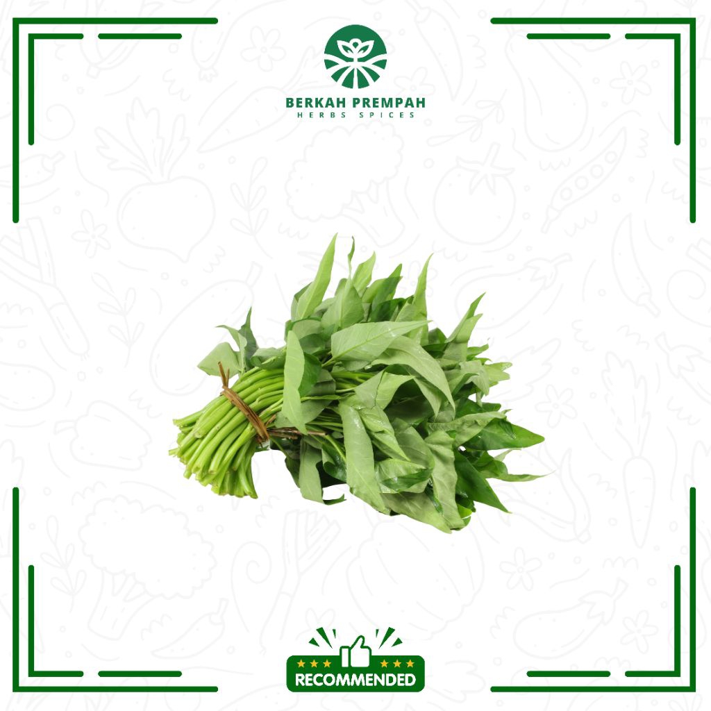 

Sayur kangkung segar 1ikat besar - Berkahprempah