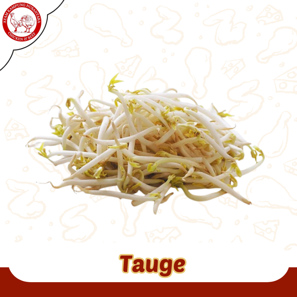 

Toge | Touge Segar 500 Gram