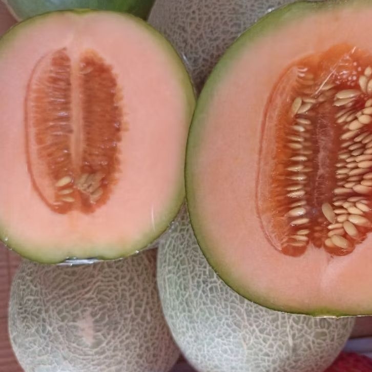 

INSTAN KOTA JAMBI Buah Melon Berat per 700-900gr