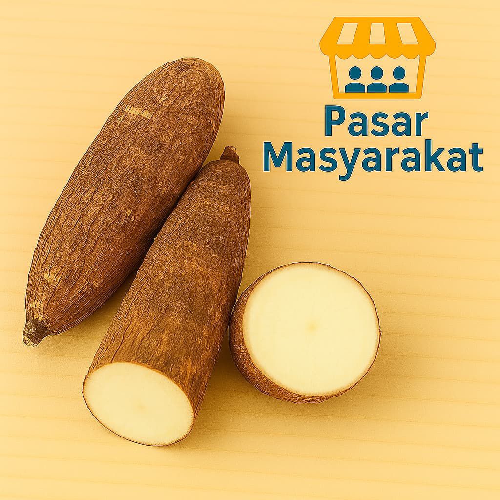 

Singkong Kupas Segar 1 Kg Pasar.Masyarakat