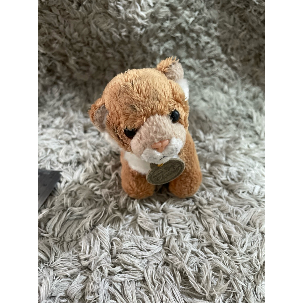 Boneka kecil kucing original