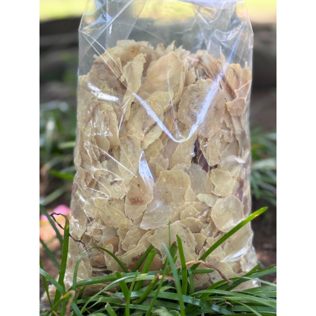 

EMPING PATAHAN ATAU EMPING RIJEK/EMPING SOTIRAN/LAYAK MAKAN/KEMASAN 1 Kg/emping asli khas kebumen