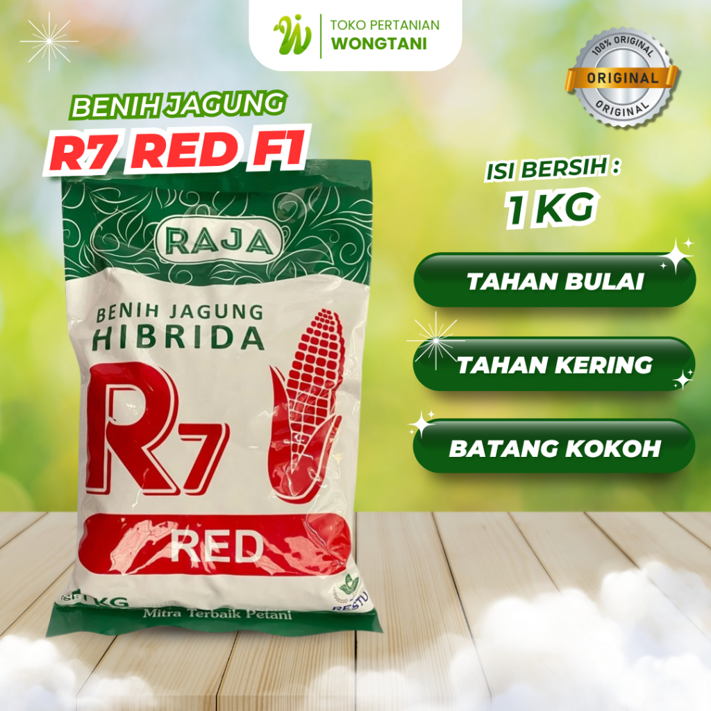 Benih Jagung Hibrida R7 RED / ULTIMATE / GOLD / UNION 1kg Original RAJA Tahan Bulai Produksi Tinggi