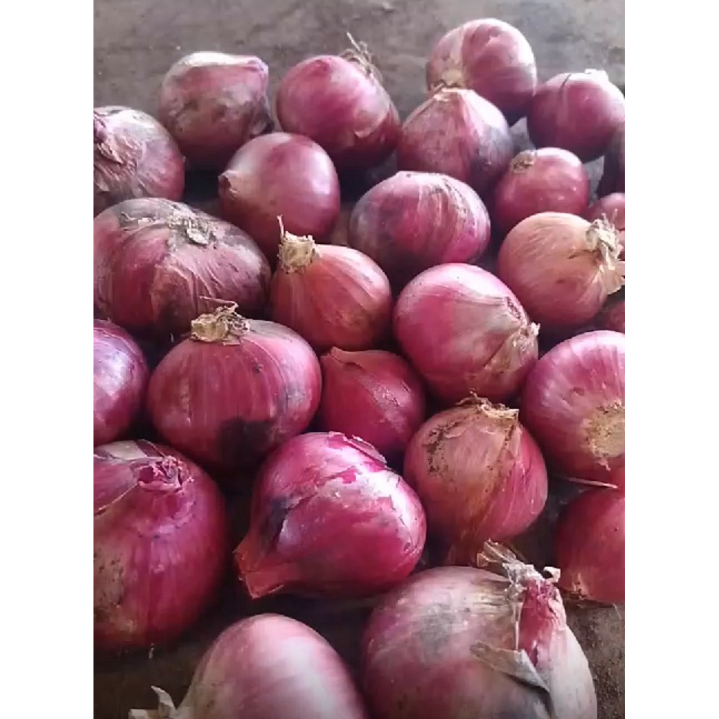 

BAWANGMERAHKUATASPREMIUM