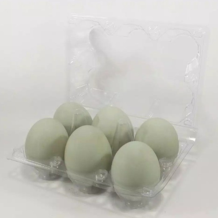 

[oddsolshop] pekanbaru/Telur Telor Bebek ISI 6