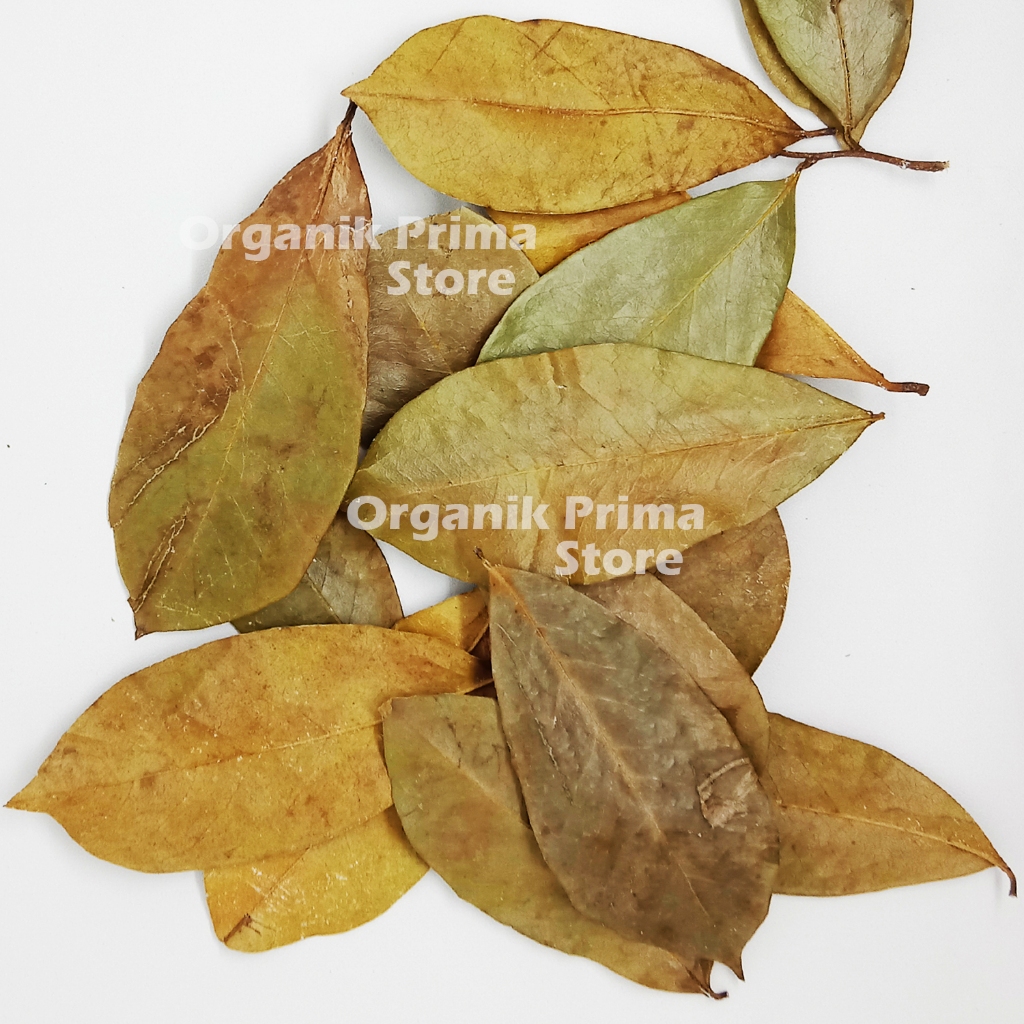 

Daun Sirsak Kering 500gr Bersih dan Organik
