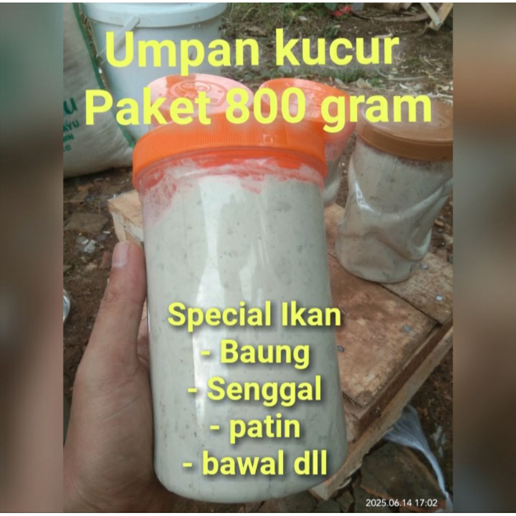umpan kucur umpan mancing umpan ikan