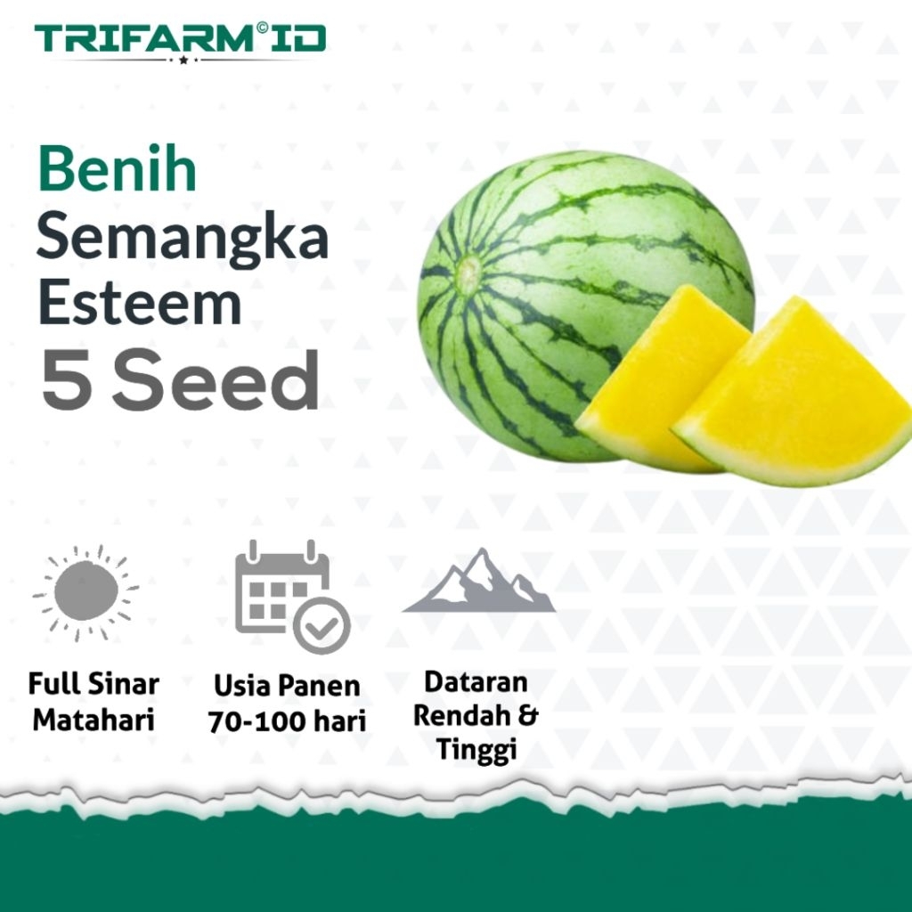TRIFARM Bibit Benih Buah Semangka Esteem F1 5 Biji Kemasan Ziplock