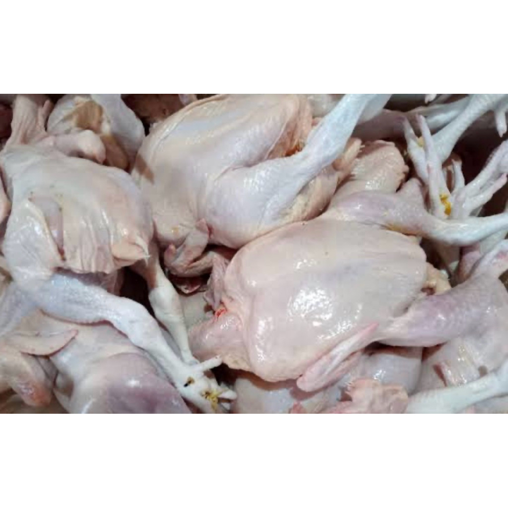 

AYAM NEGERI 1 EKOR uk 2 Kg Utuh + ATI Ampela