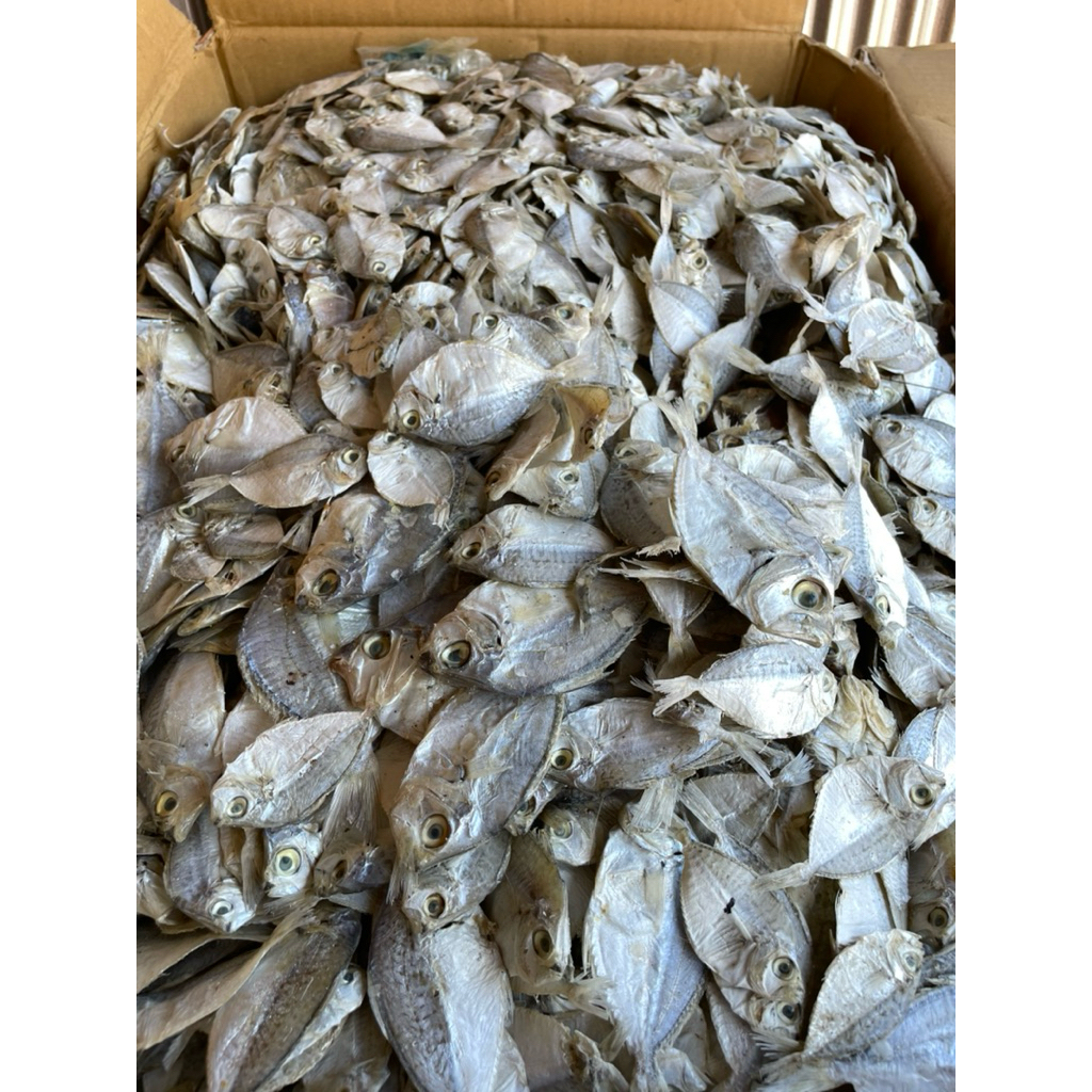 

ikan petek asin kering/ikan dok dok ukuran sedang 1000gr