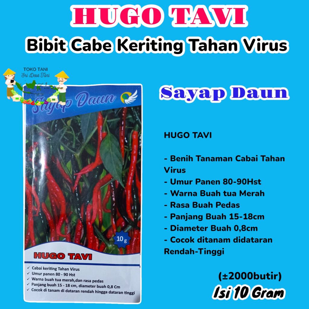 BIBIT CABE CABAI KERITING TAHAN VIRUS HUGO TAVI 10 GRAM SAYAP DAUN Setara Or Twist 42