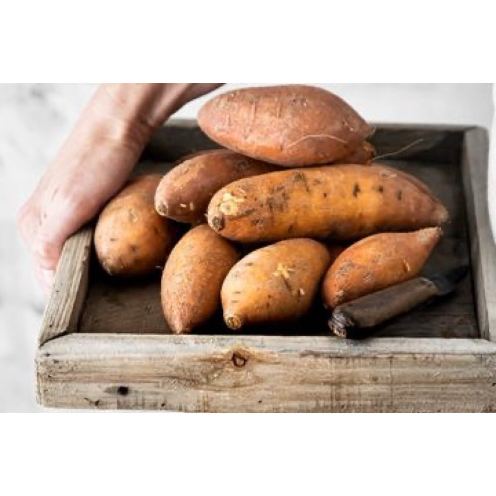 

Ubi Rambak - Tela Rambak Murah 1kg atau /kg