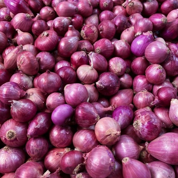 

Bawang Merah Asli, Langsung Petik Dari Petani– Rasa Lebih Sedap & Tahan Lama