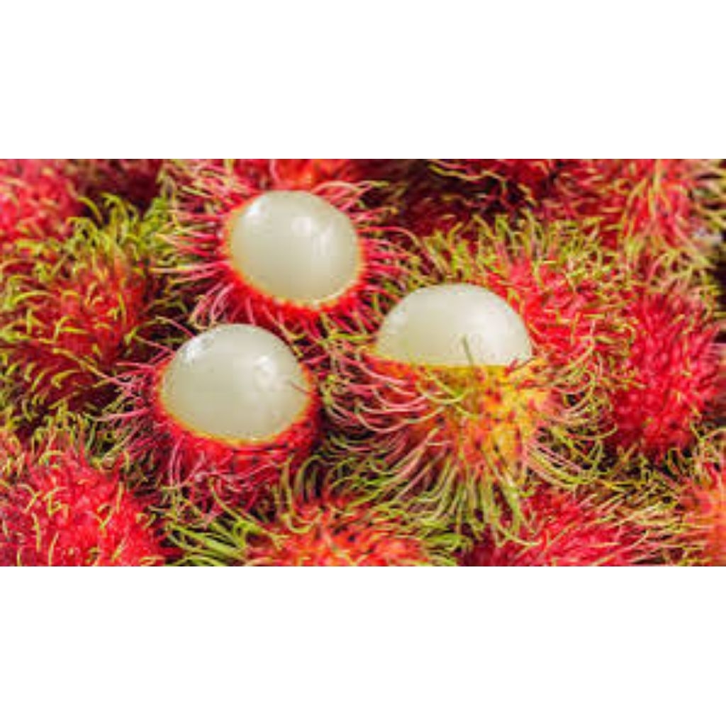 

rambutan binjay segar