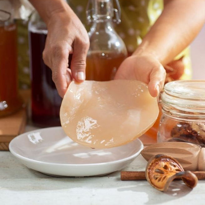 

Bibit Scoby Kombucha diameter 6-7cm untuk 1 liter