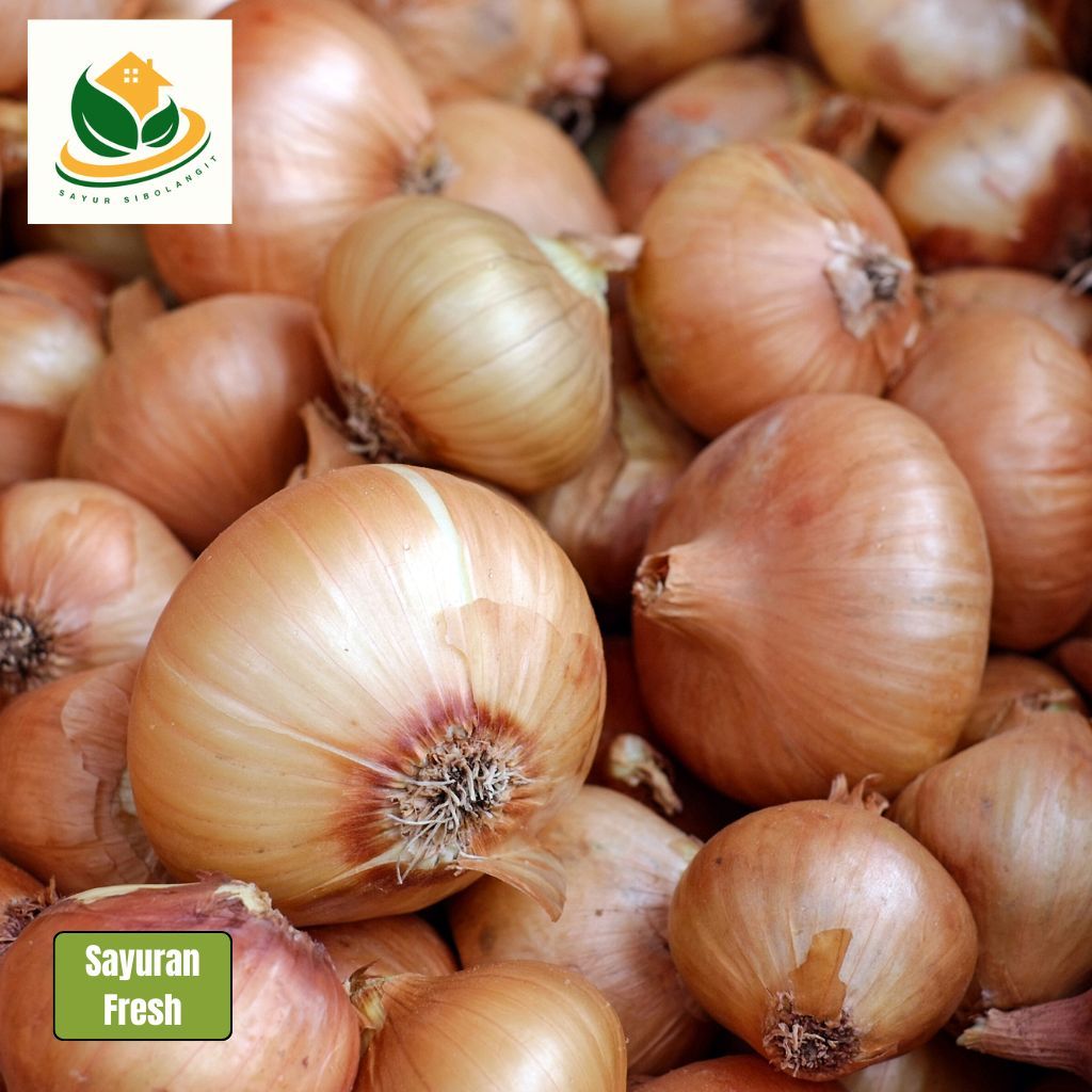 

Bawang Bombay - Sayur Online - Bawang Bombay 1kg