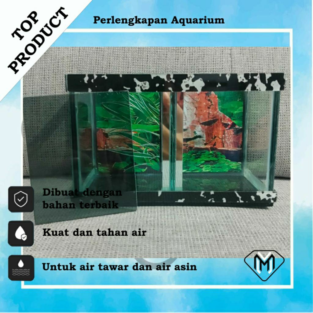 AQUARIUM IKAN CUPANG KURA-KURA GUPPY CHANNA / AQUARIUM MINI SEKAT 2 / AQUARIUM AQUASCAPE MINIMALIS