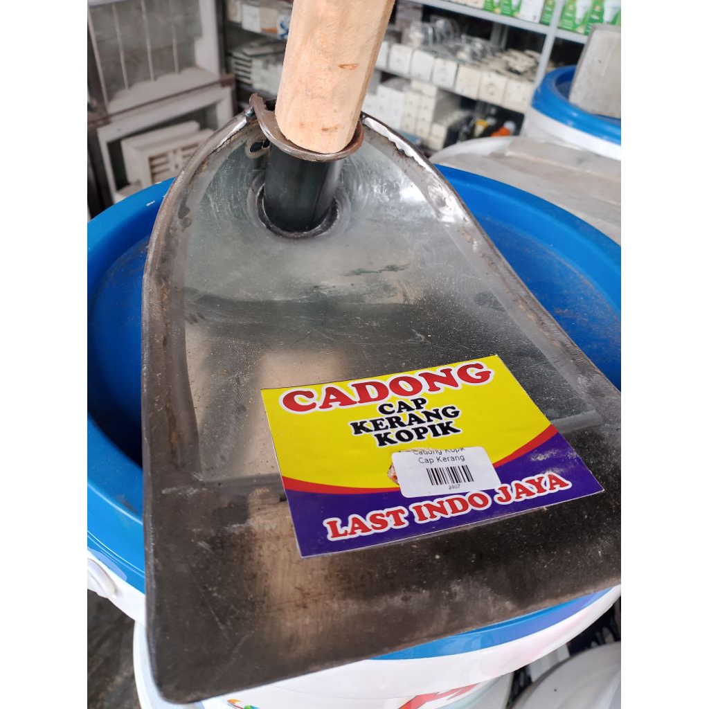 CANGKUL CADONG KOPIK/KECIL CAP KERANG ASLI BANYUWANGI