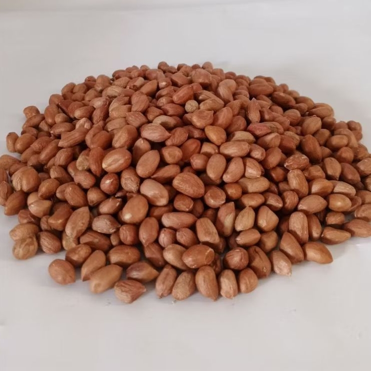 

KACANG TANAH MENTAH 250 GRAM