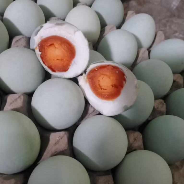 

Telur Asin DJ