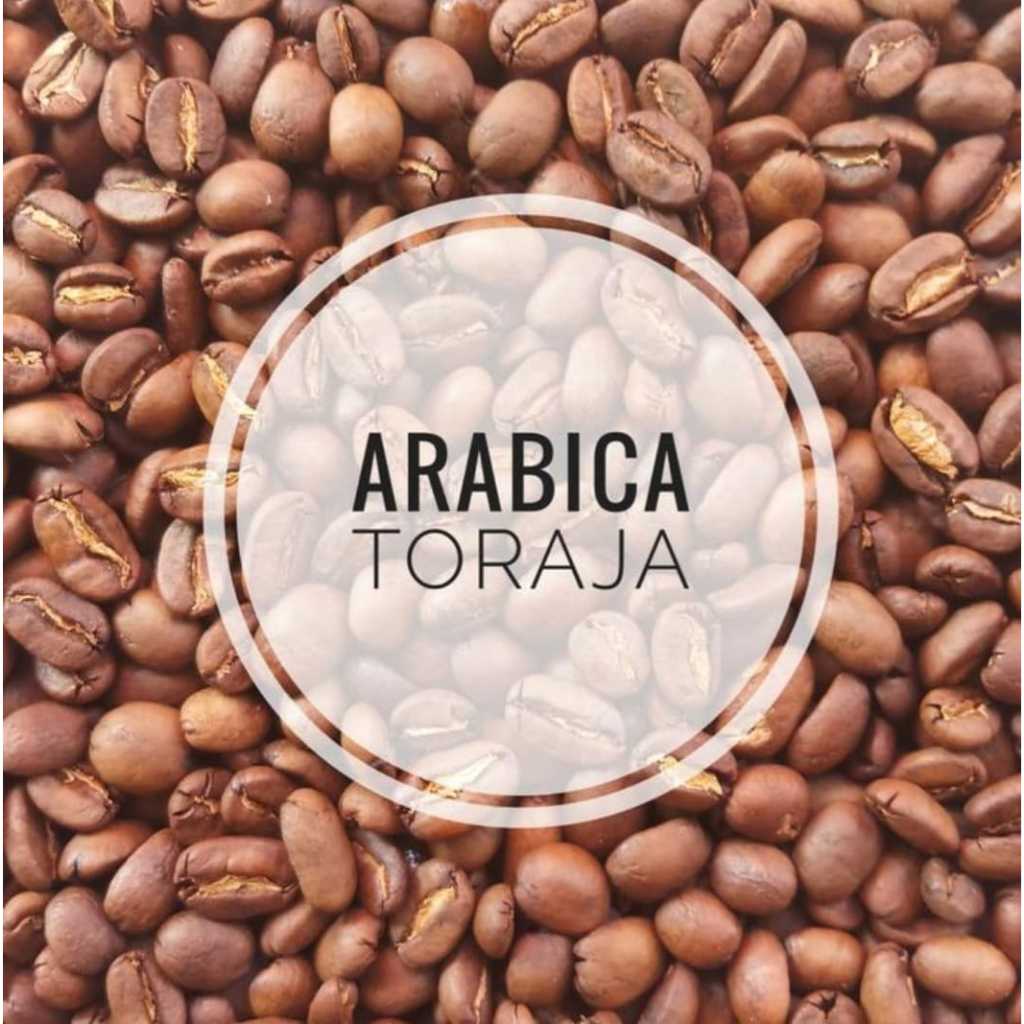 

Kopi Toraja Arabika – Rasa Otentik dari Pegunungan
