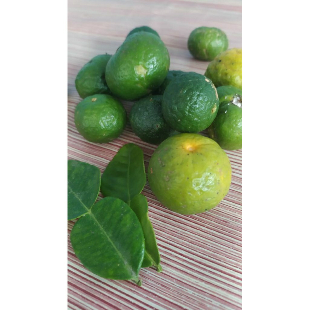 

Jeruk limau segar langsung dari pohon 250 gram