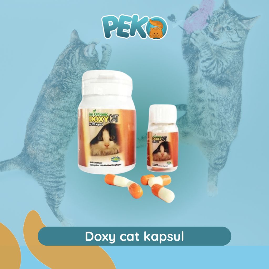 Obat Flu Doxy Cat Kapsul