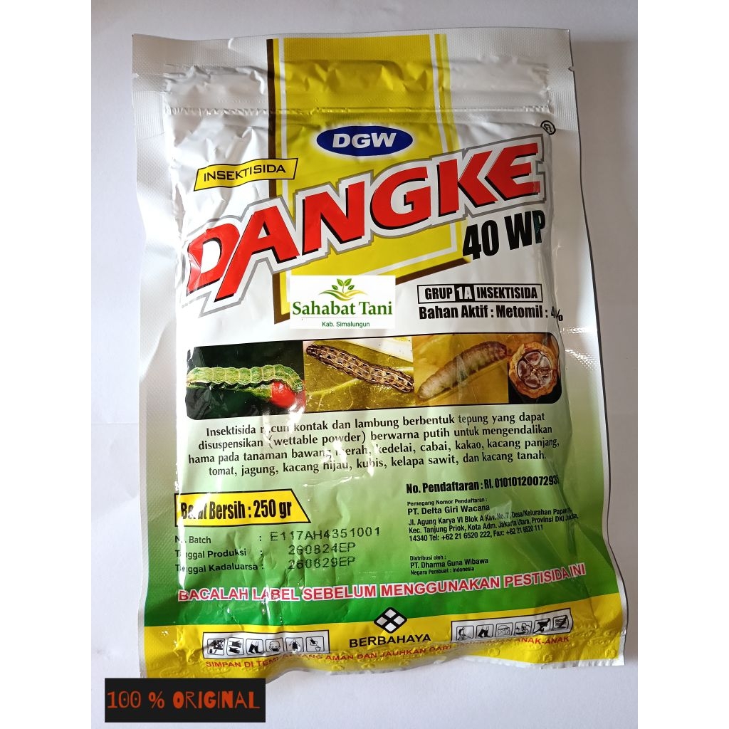 dangke 40 WP250 gr