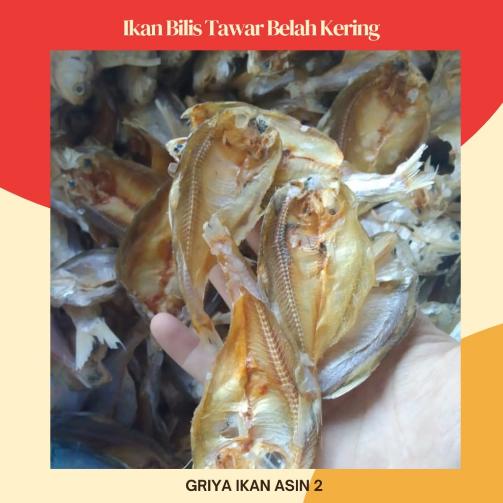 

paket grosir bilis tawar murah