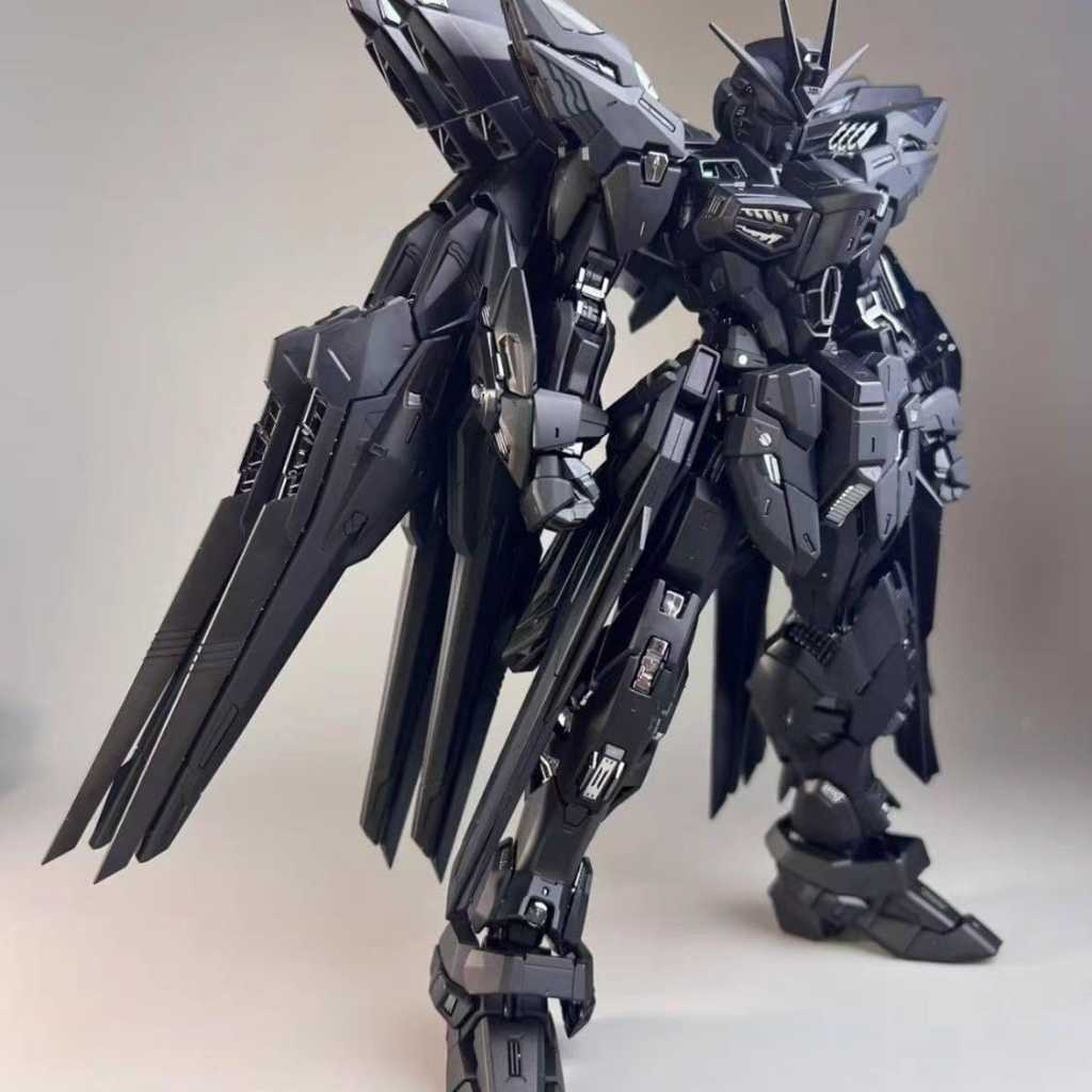 1/100 MGEX Strike Freedom Fighter Midnight Coating Color X20A Xunxin Model kit Plamo