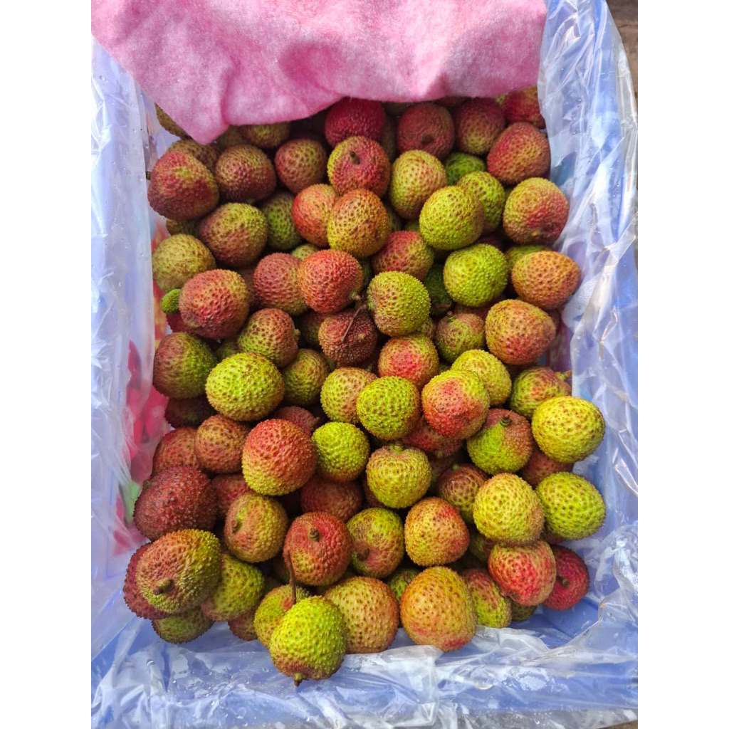 

Leci madu hijau-Leci hijau madu-Lechy madu 500gr