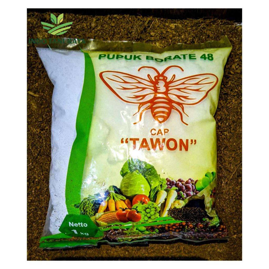 PUPUK BORATE CAP TAWON (PUPUK)