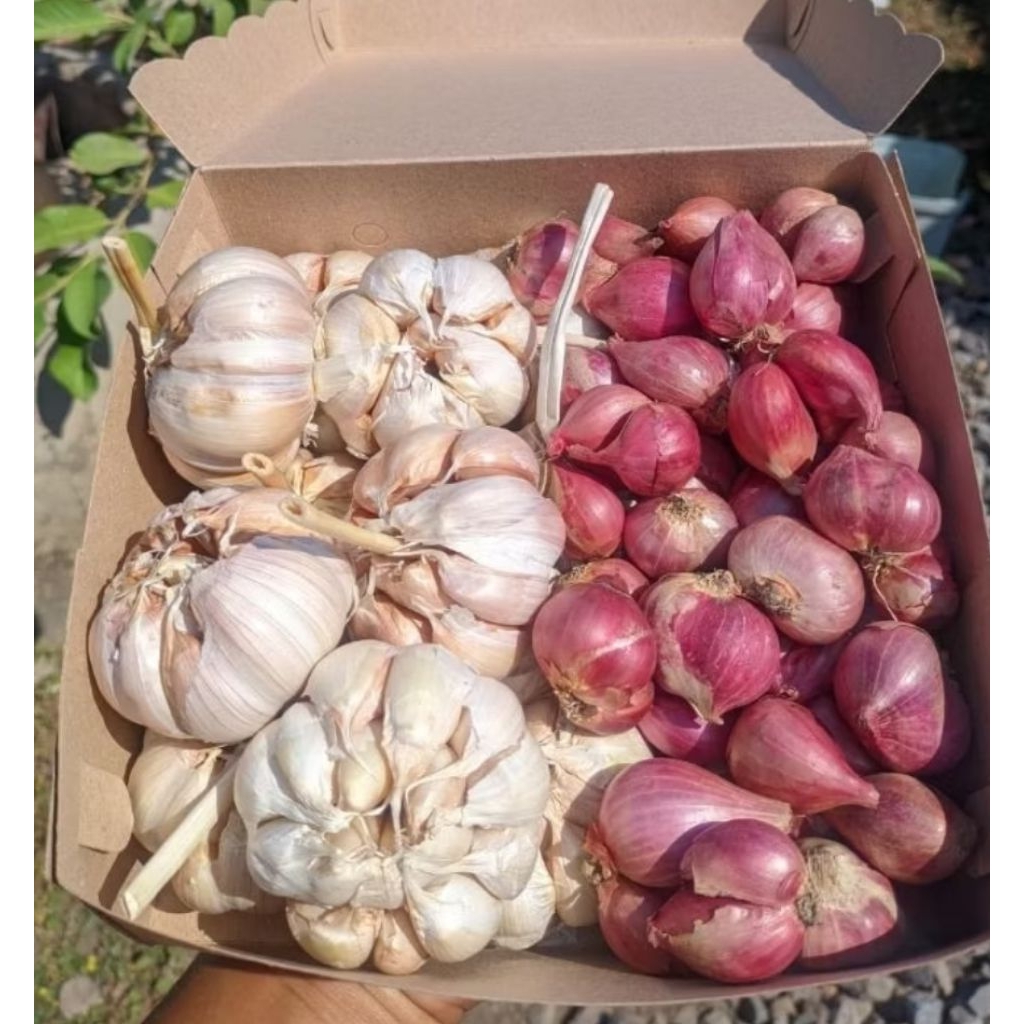 

Paket bawang merah & bawang putih Kemasan 500 gr