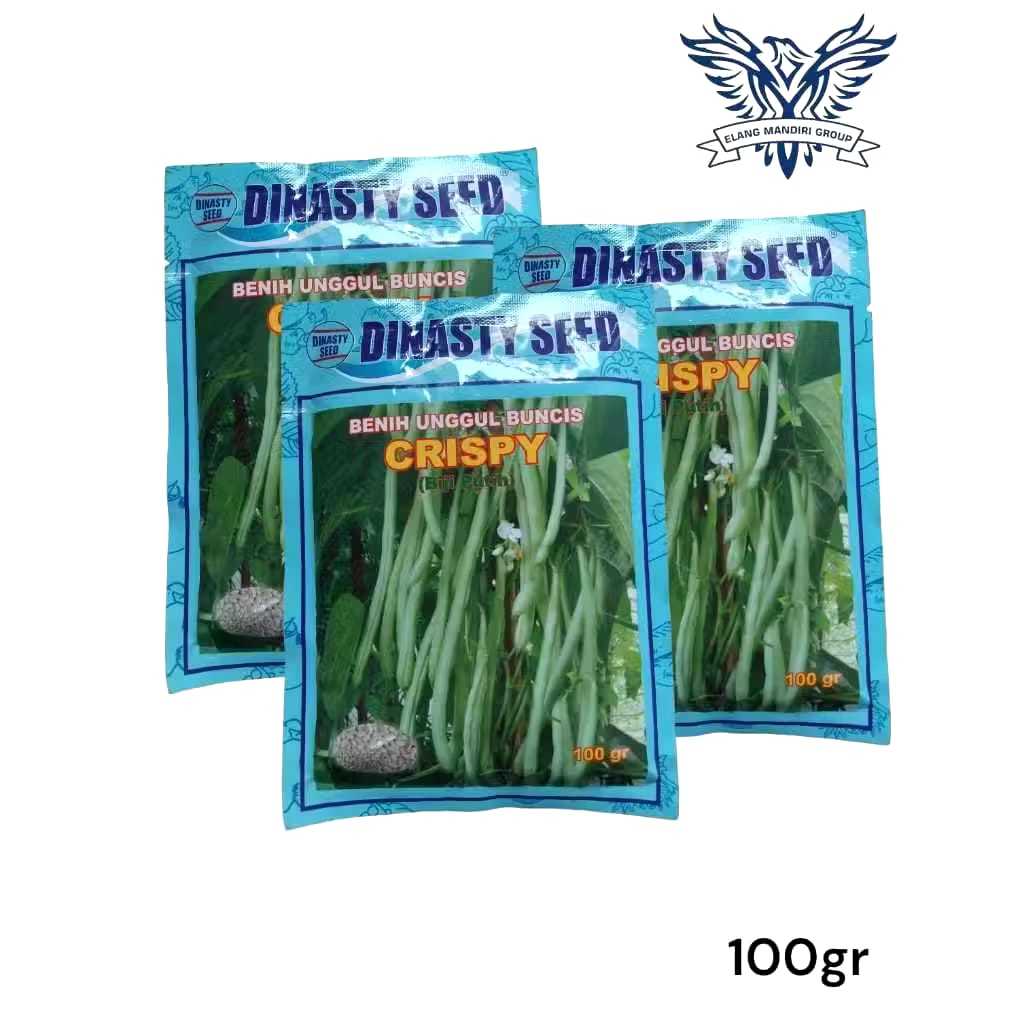 

Crispy 100gr benih buncis biji putih dinasty seed