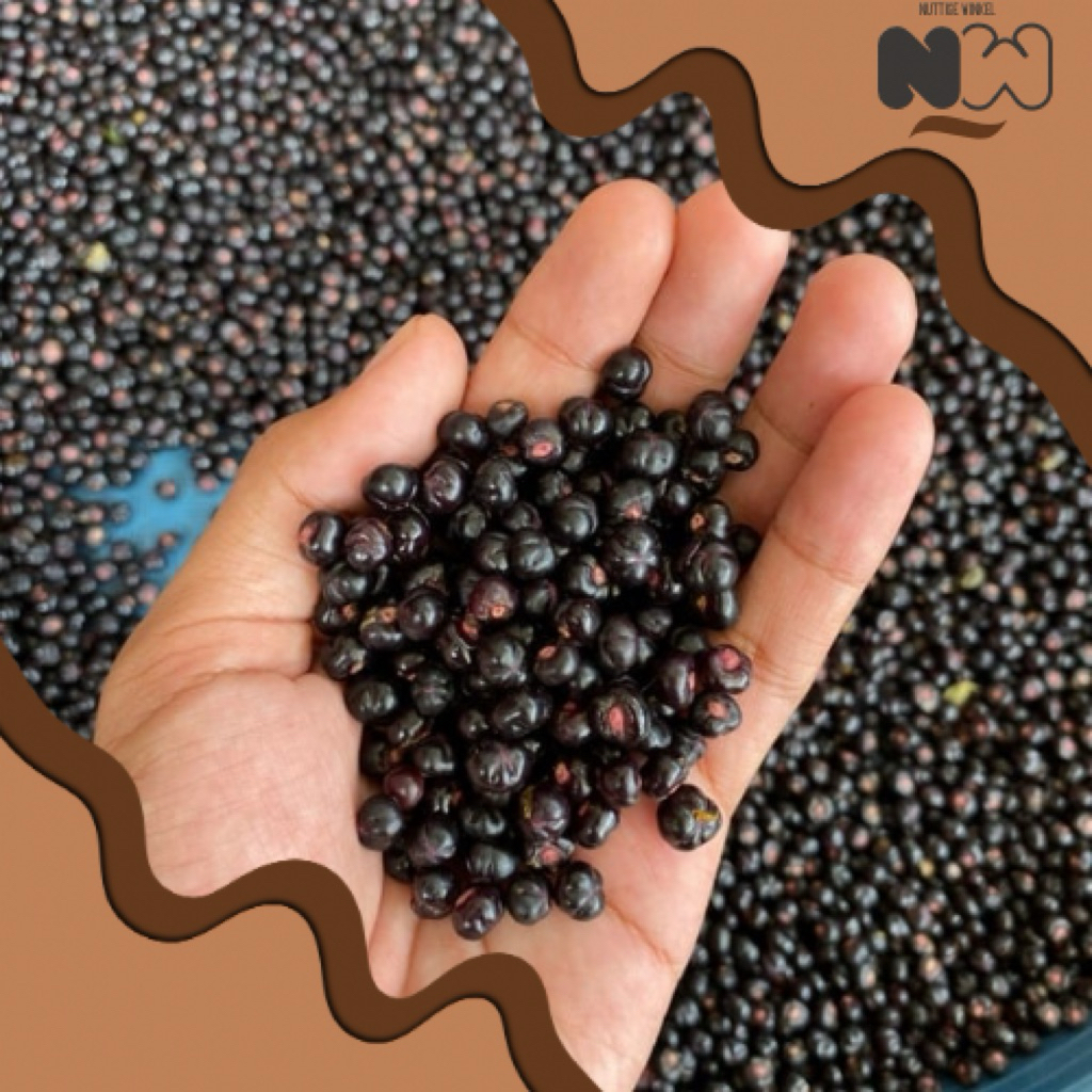 

Angkung/Binahong Segar, Alami Obat Struk - Angkung 100 - 200 biji