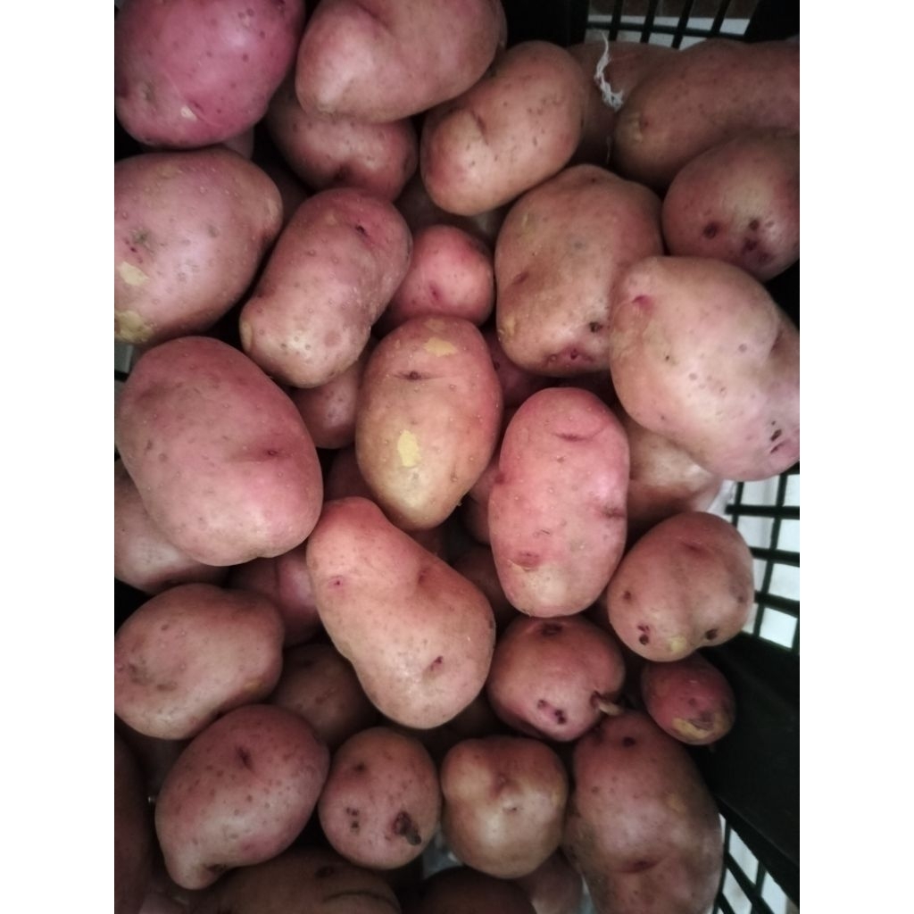 

kentang merah berastagi 500gr