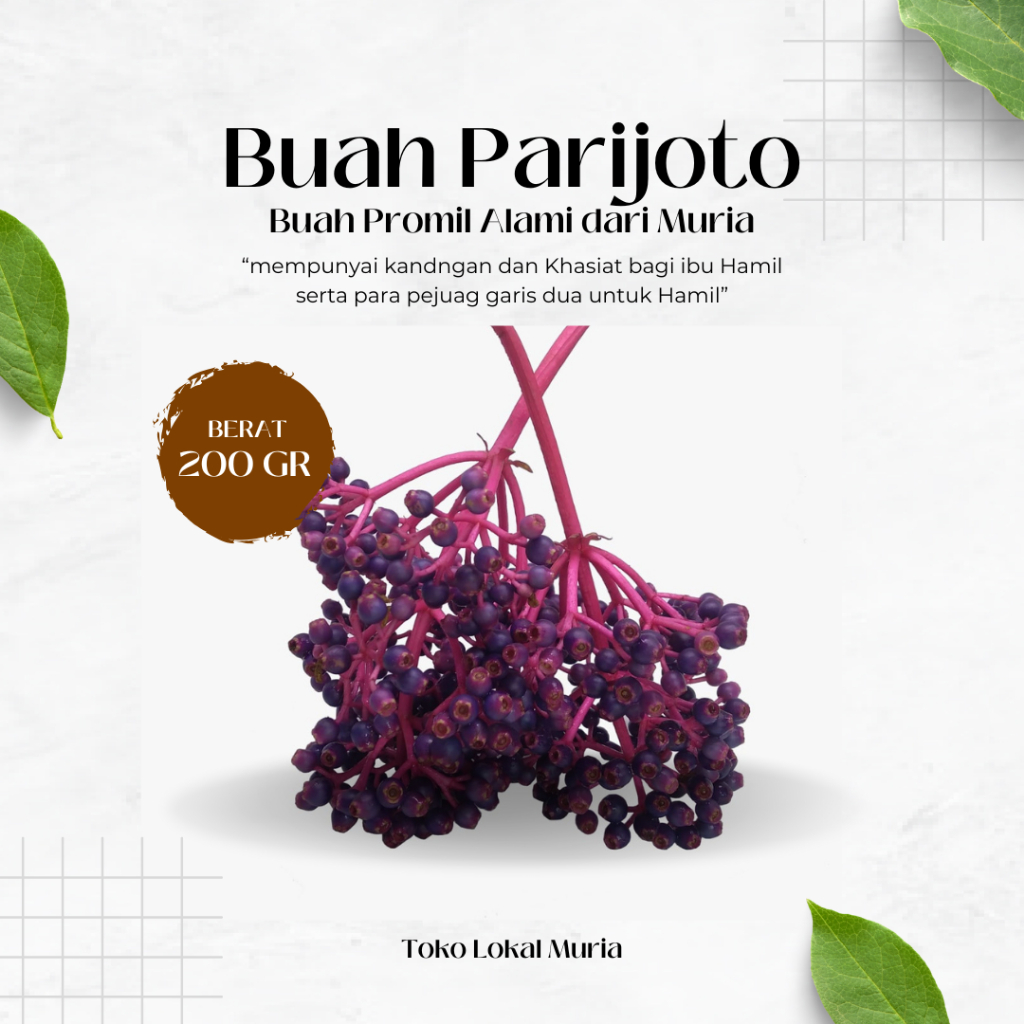 

Buah Parijoto Muria Fresh 200gr – Buah Langka Kaya Antioksidan | Cocok untuk Program Hamil