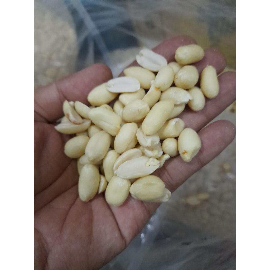 

Kacang Kupas Mentah Impor Super