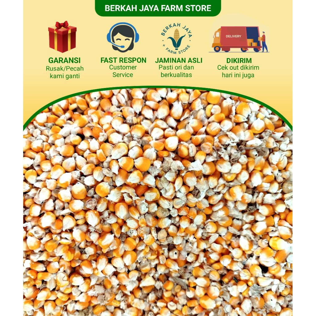 

Jagung selep 1 kg dari bibit merek pertiwi berkualitas Jagung kering / jagung pakan merpati / jagung pakan ayam / Khas pegunungan / jagung kering