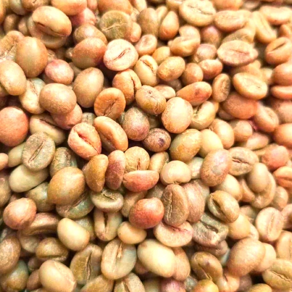 

Forcysn Biji Kopi Mentah / Green Bean Natural Robusta Premium 100% Biji Coffee Tua Full Wash Top