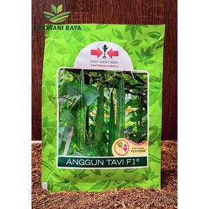 ANGGUN TAVI OYONG 75S (BENIH)