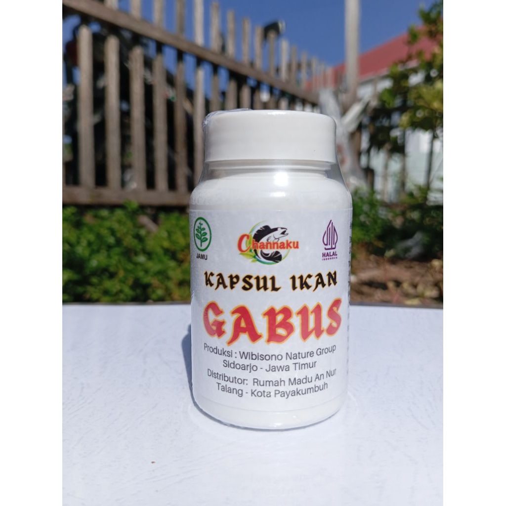 Albumin ikan gabus-Kapsul Ikan Gabus original isi 60&100 pil